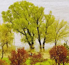 Danube In Fall Stock Photos Danube In Fall Stock Photos
