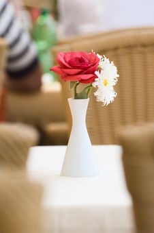 Rose And Camomiles Royalty Free Stock Photography Rose And Camomiles Royalty Free Stock Photography