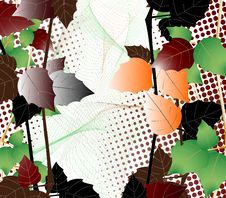 Autumn Background Royalty Free Stock Images Autumn Background Royalty Free Stock Images