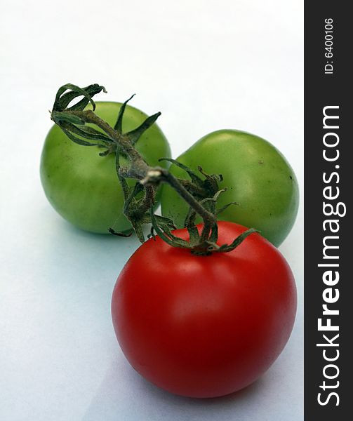 A red ripe tomato in focus with two green tomatoes on the vine in the background. A red ripe tomato in focus with two green tomatoes on the vine in the background