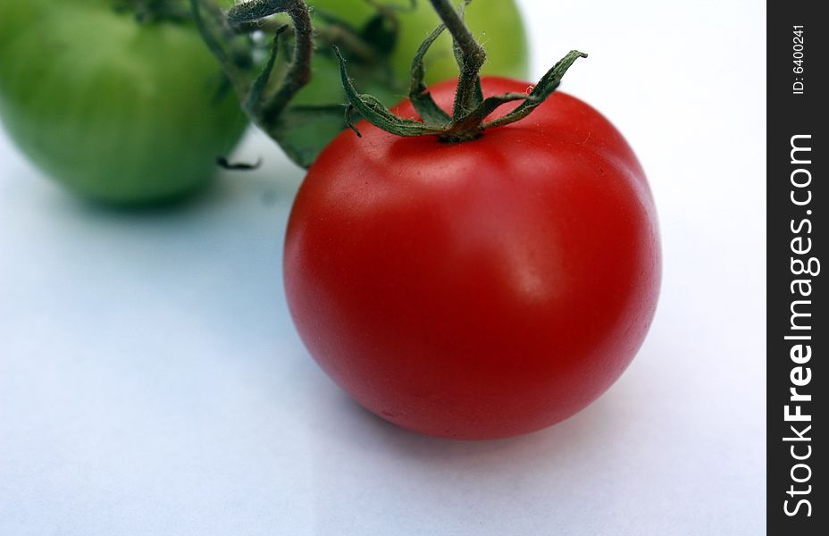 A red ripe tomato in focus with two green tomatoes on the vine in the background. A red ripe tomato in focus with two green tomatoes on the vine in the background