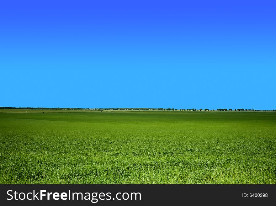 An image of green field under blue sky. An image of green field under blue sky