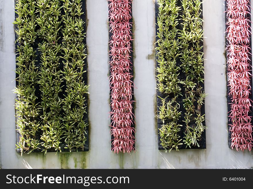 Wall decorated by green and red grass. Wall decorated by green and red grass