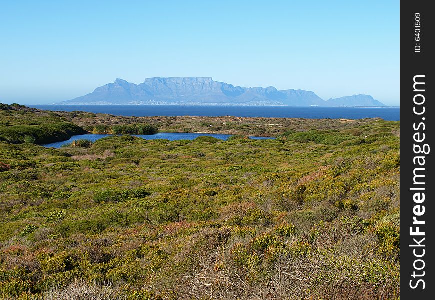 A Natural shot of Table Mountain in Cape Town South Africa with a small dam and some natural vegetation in the foreground