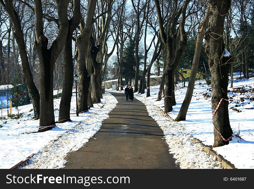 People walking in the Emirgan Park at winter time. People walking in the Emirgan Park at winter time