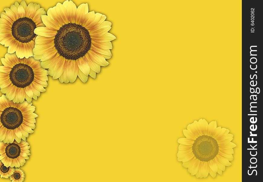 A yellow background with sunflowers. A yellow background with sunflowers.