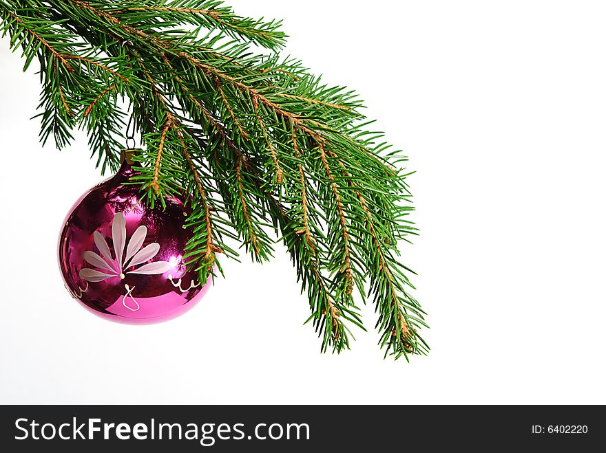 Green  fir tree  twig and red ball. Green  fir tree  twig and red ball