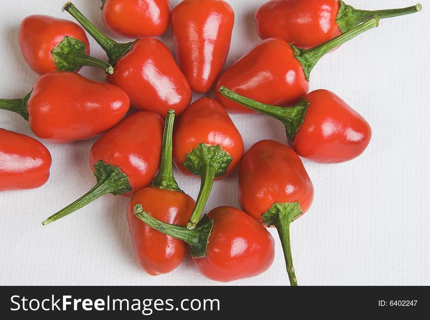 Bright red chillies on a white background