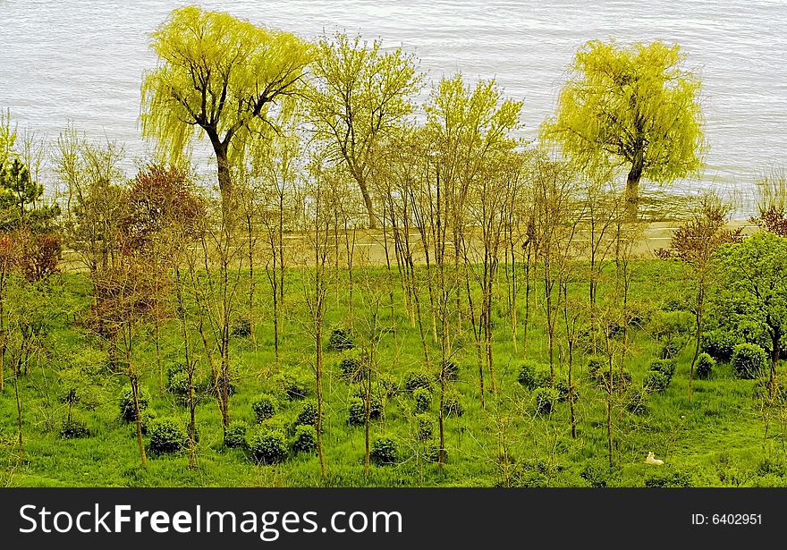 Danube in fall. beautiful and wild landscape.