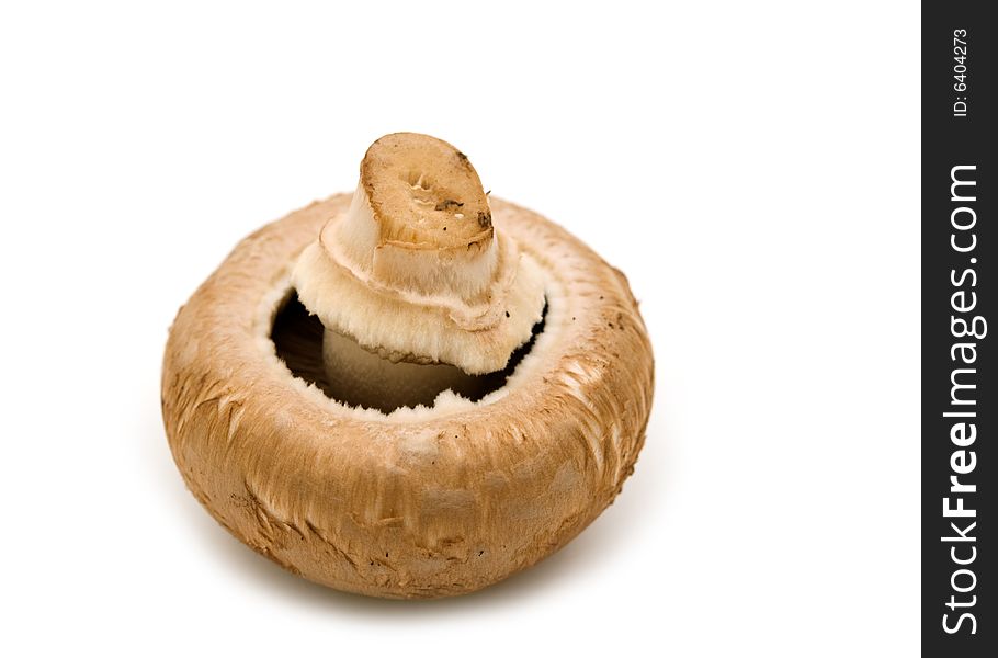 Single Brown Champignon