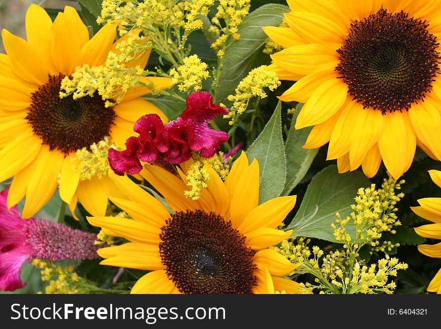 Image of a sun flower gift basket