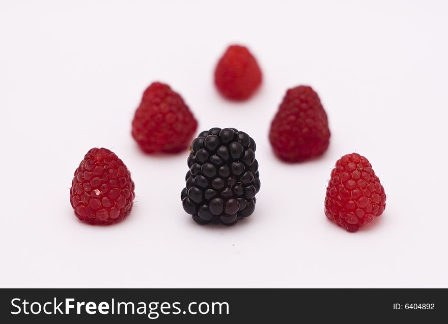 Six raspberries and wild raspberries