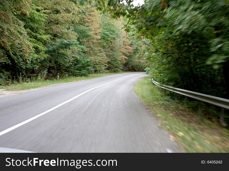 Moving straight ahead through the forest. Moving straight ahead through the forest