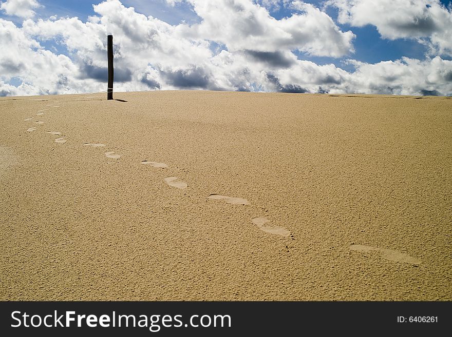SÅ‚owinski National Park - sand dunes. SÅ‚owinski National Park - sand dunes