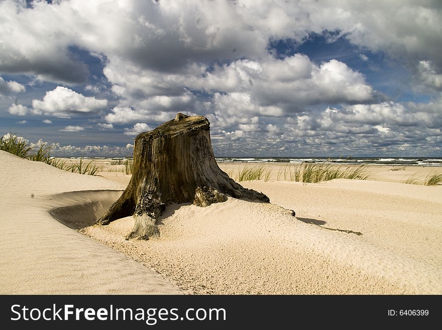 SÅ‚owinski National Park - sand dunes on the Baltic Sea. SÅ‚owinski National Park - sand dunes on the Baltic Sea