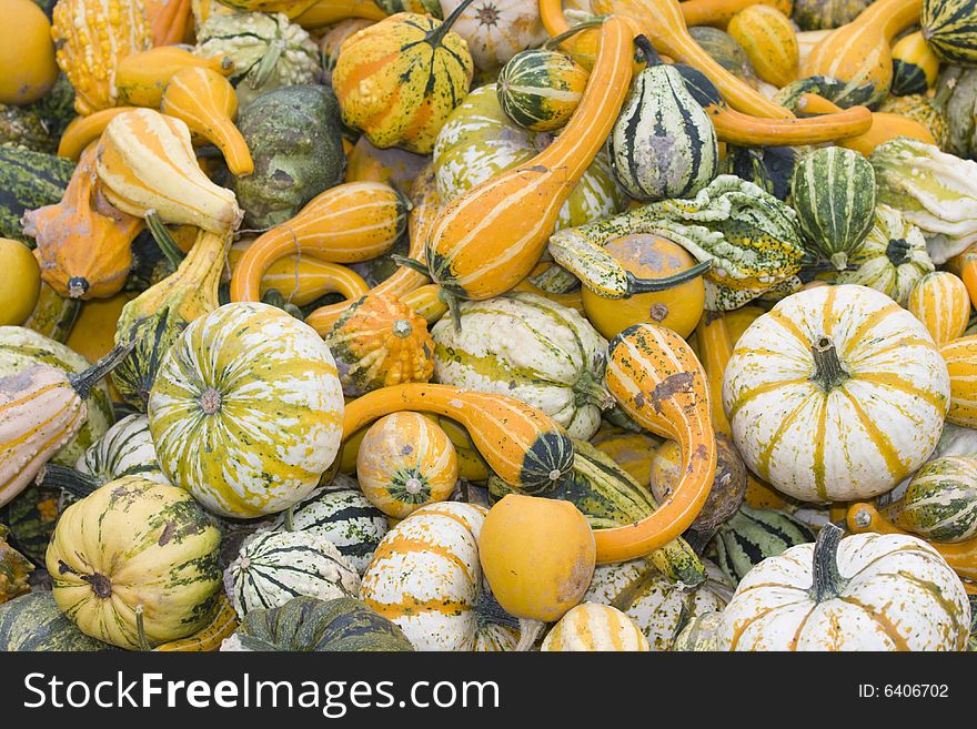 Lots of pumpkins piled up