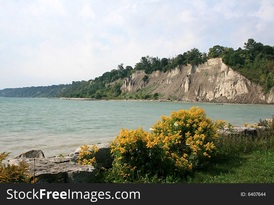 Landscape with bluffs, water and flowers. Landscape with bluffs, water and flowers