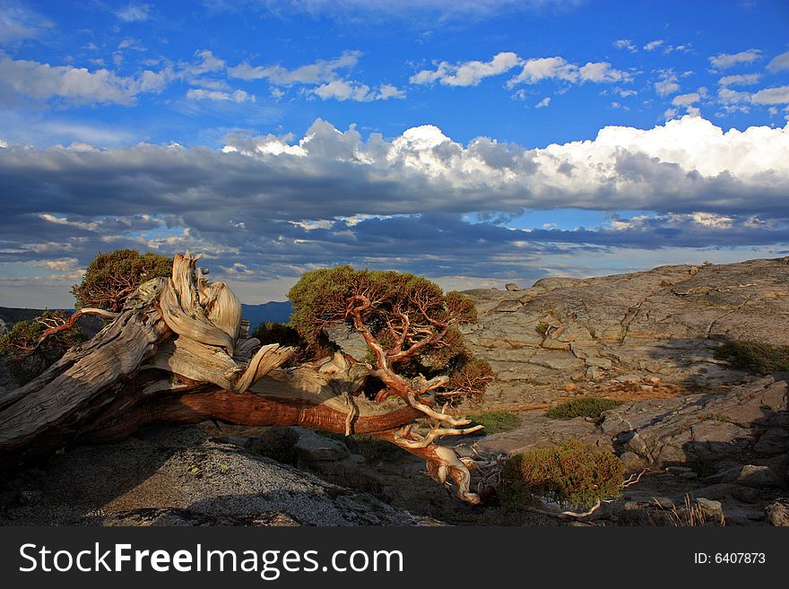 Scenic with clouds,rock and twisted tree. Scenic with clouds,rock and twisted tree