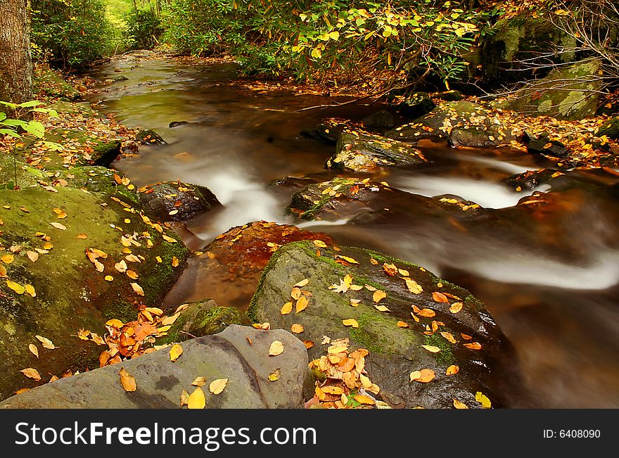 Creek deep in the woods during autumn