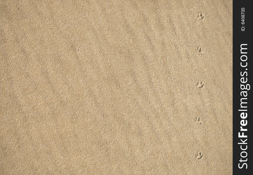 A Wavy beachsand background with small birdfeet tracks on the righthand side making for an inthereisting feature. A Wavy beachsand background with small birdfeet tracks on the righthand side making for an inthereisting feature