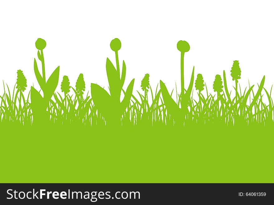 Floral spring background with tulips buds, muscari and grass silhouette. Floral spring background with tulips buds, muscari and grass silhouette