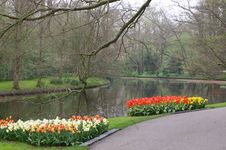 Dutch Garden In Spring Royalty Free Stock Photo