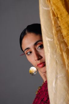 Beautiful Indian Woman Stock Images