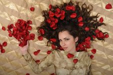 Woman With Petal On Golden Background Royalty Free Stock Photos Woman With Petal On Golden Background Royalty Free Stock Photos