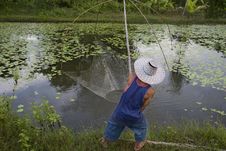 Fisherman With Stave, Asia Royalty Free Stock Photography