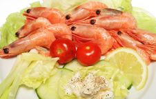 Prawn Salad Royalty Free Stock Photos Prawn Salad Royalty Free Stock Photos