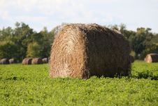 Hay Bails Royalty Free Stock Photos Hay Bails Royalty Free Stock Photos