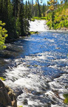The Lewis Falls In The Yellowstone Stock Photography