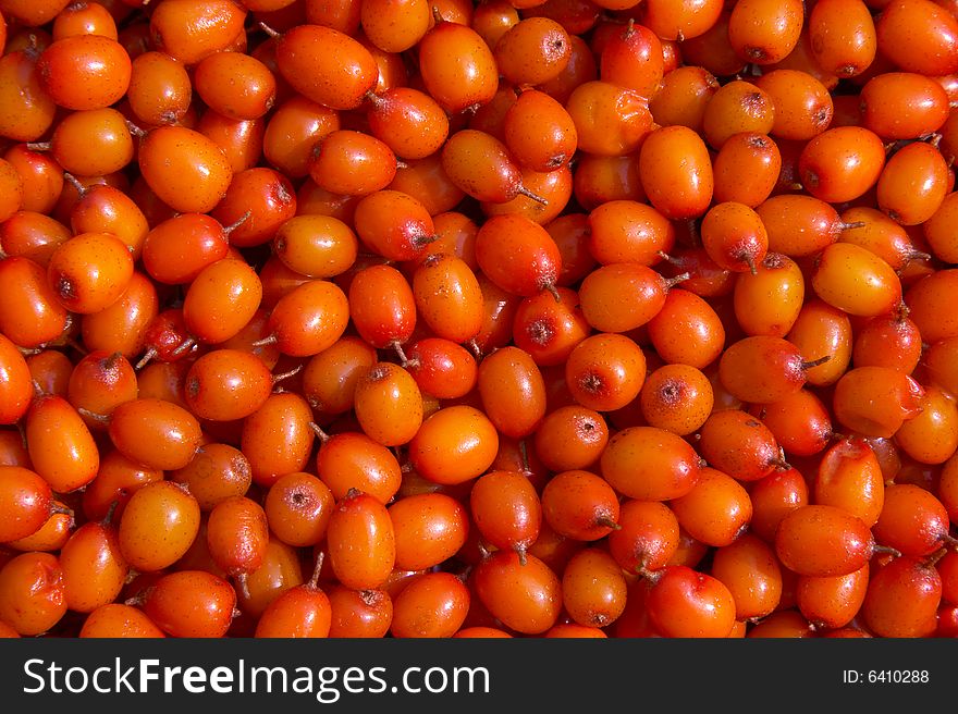 Sea-buckthorn berry background (orange color). Sea-buckthorn berry background (orange color)
