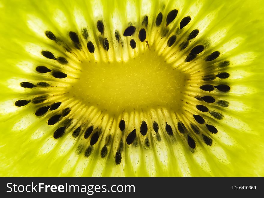 Shot of backlit kiwi fruit