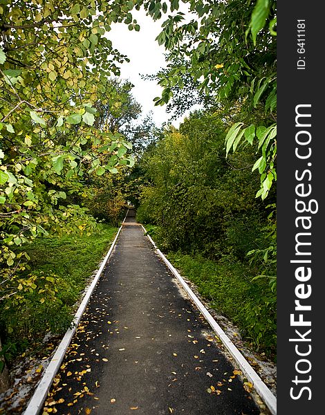 The picture is made during walk on a botanical garden. The picture is made during walk on a botanical garden