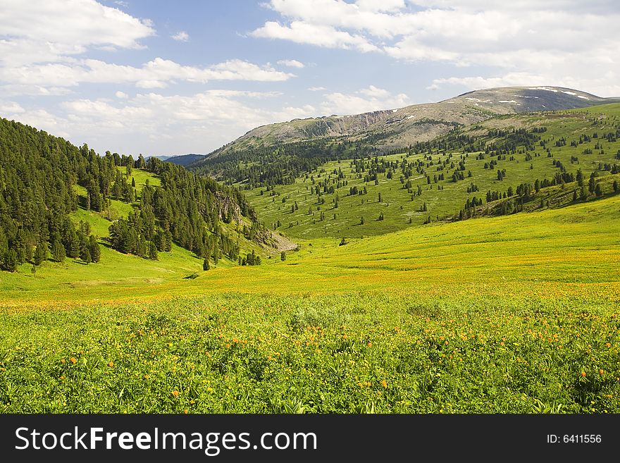 High mountain's summer view, Altai, blue sky, white clouds, lot of sun