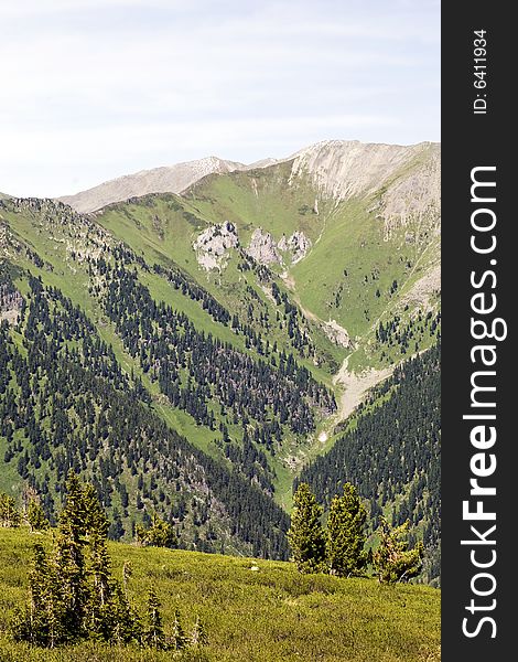 High mountain's summer view, Altai, blue sky, white clouds, lot of sun