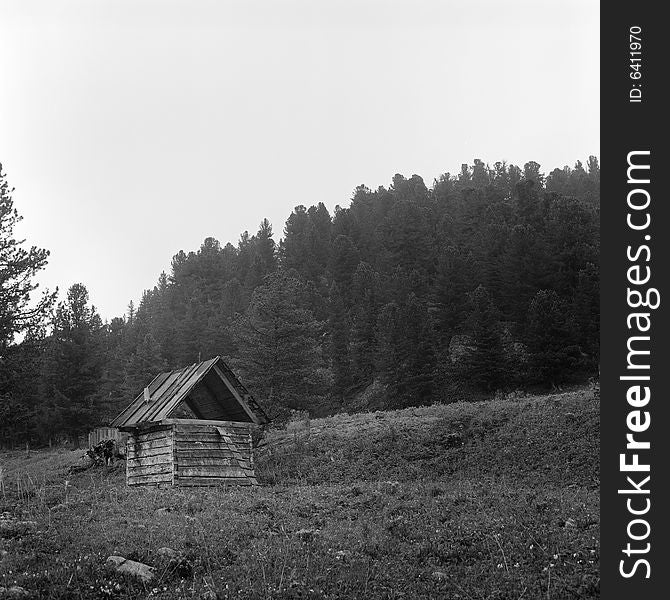 Black and white house in mountains, summer, forest behind