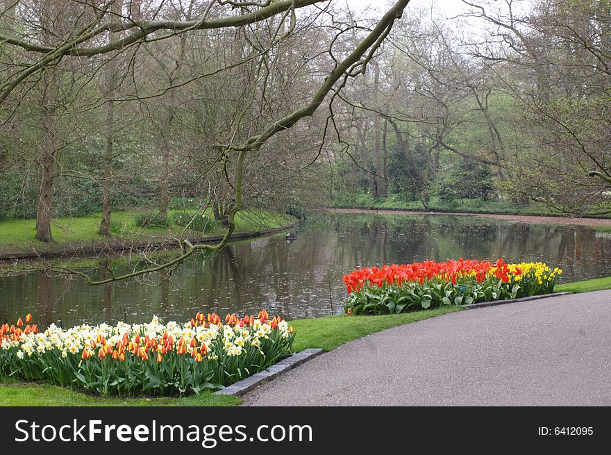Dutch tulip garden in spring, horiziontal. Keukenhof, Holland. Dutch tulip garden in spring, horiziontal. Keukenhof, Holland
