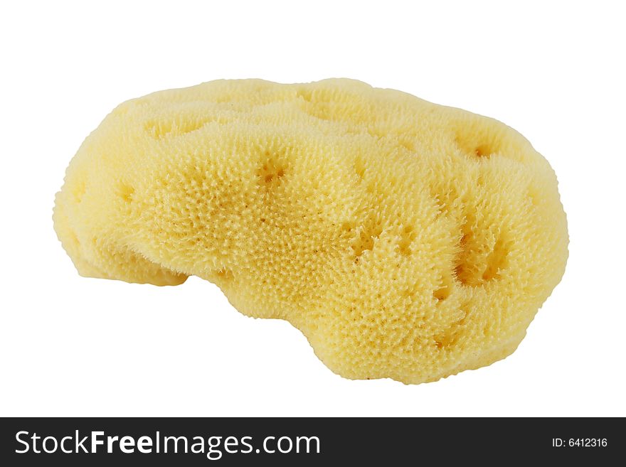 Natural cosmetic sponge isolated on white. Natural cosmetic sponge isolated on white