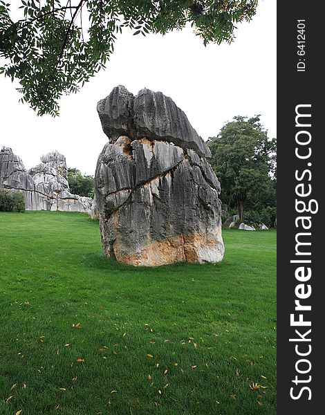 Stone forest