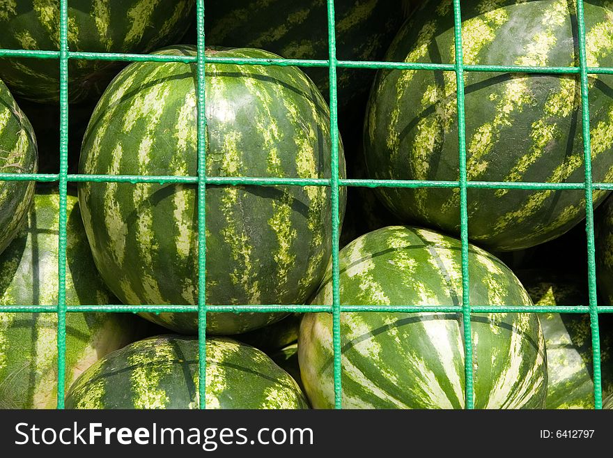 Fresh water-melons in the street market. Fresh water-melons in the street market