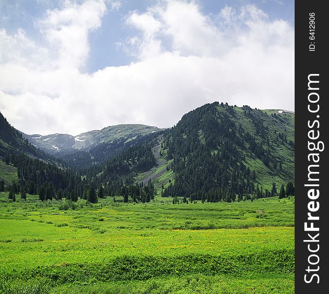 High mountain's summer view, Altai, blue sky, white clouds, lot of sun