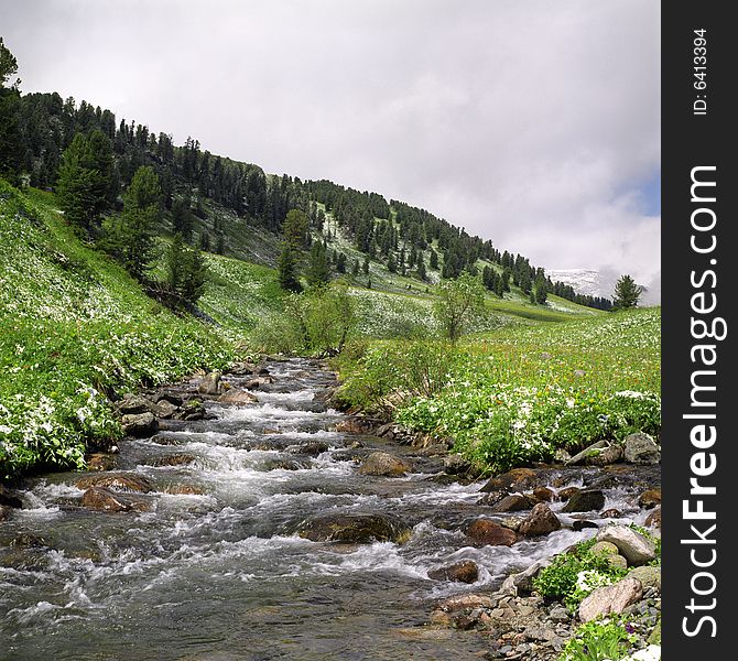 River flow in high mountains, green grass, water and clouds