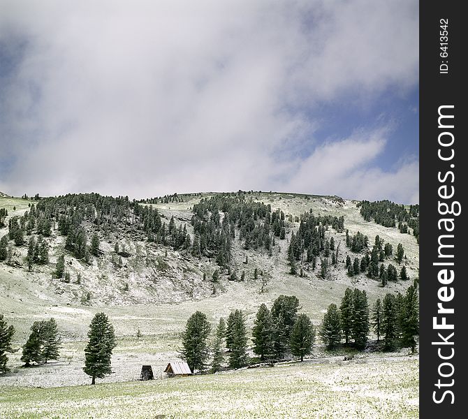 Snow in summer mountains of Altai
Pine wood, clouds and white snow