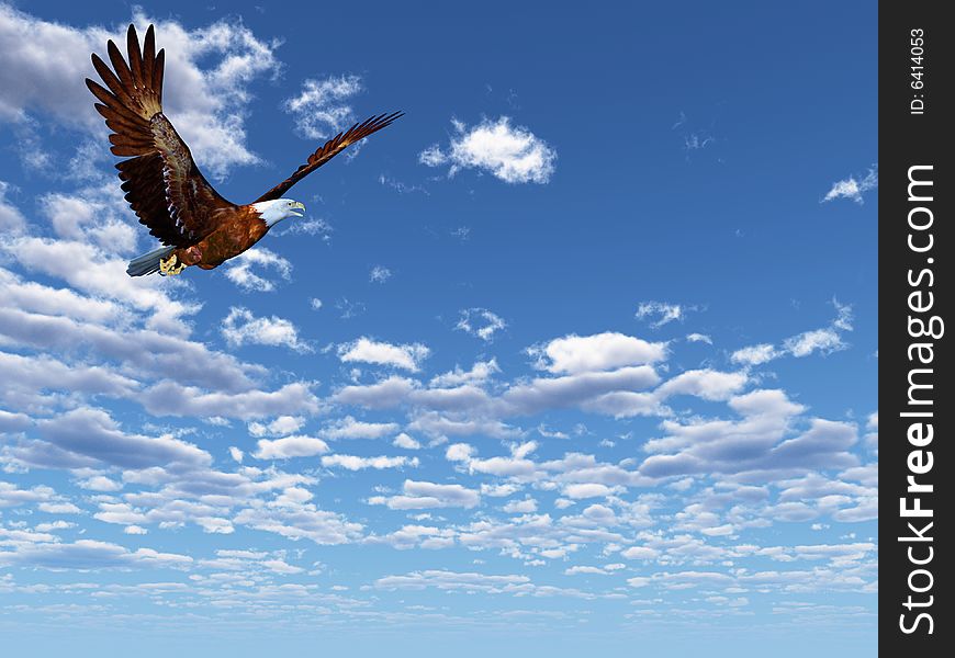 Eagle flying on a background of the dark blue sky