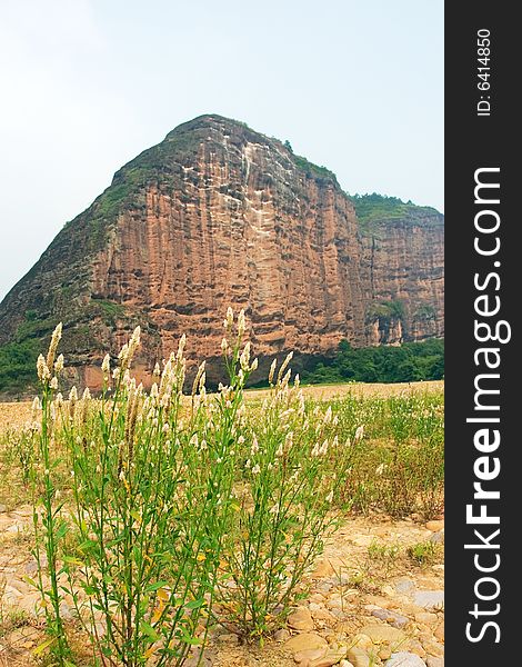 Grasses and mountain