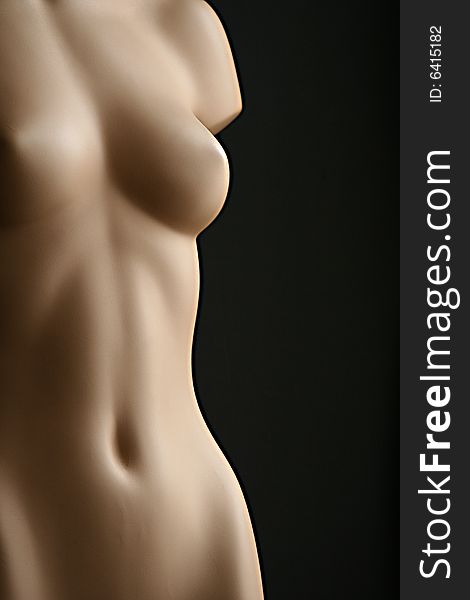 Torso of female fashion doll