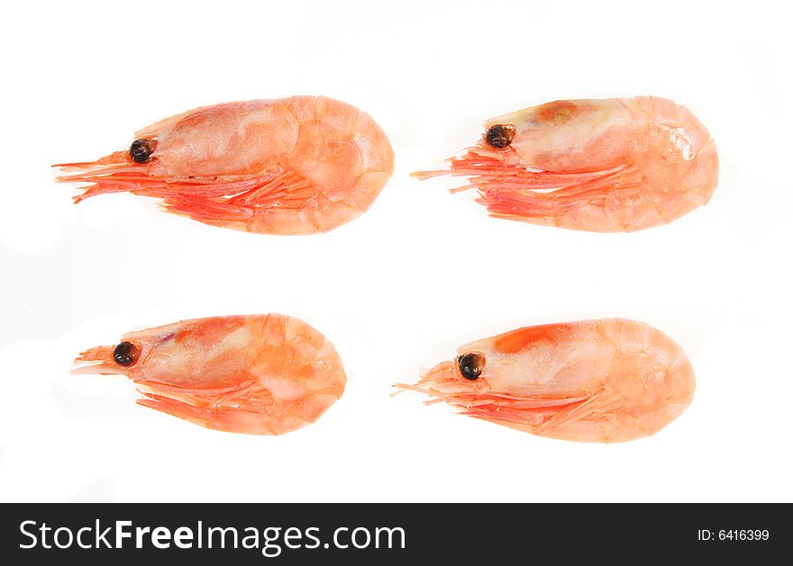 Four whole shell on prawns isolated on white. Four whole shell on prawns isolated on white