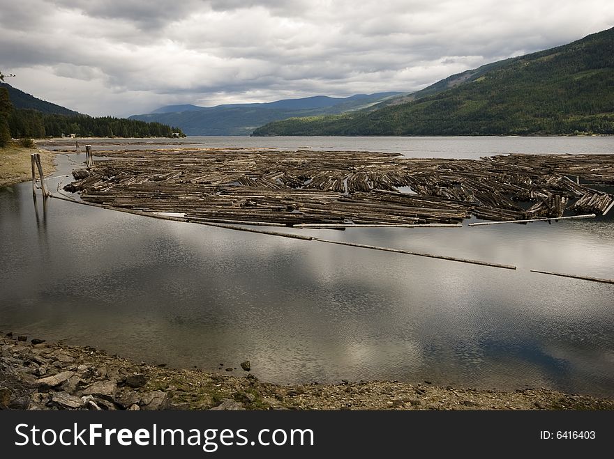 Logs On Shuswap Lake, Salmon Arm